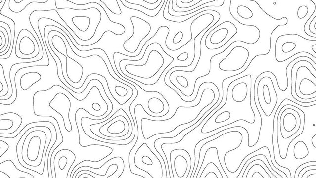 Topographic animation scheme and terrain. Topography grid map. Stylized topographic contour map. Geographic line mountain relief. Abstract lines or wavy backdrop background. Contour map background.