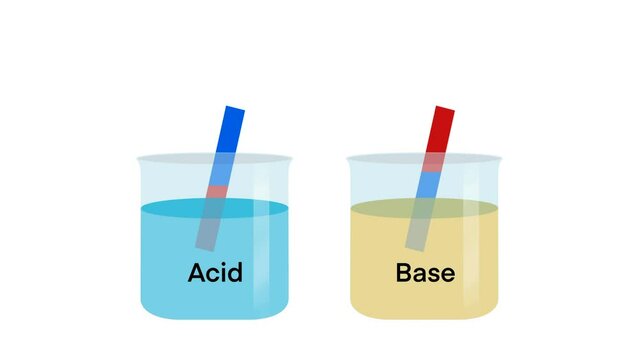 Acid and base, chemical difference between acids and bases is that acids produce hydrogen ions and bases accept hydrogen ions, A base is a substance that neutralizes acids