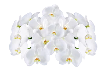 Deurstickers Orchideen © janvier