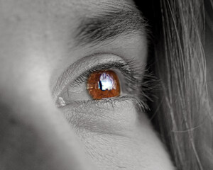 eye of the person