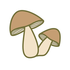 two mushrooms art drawn decor