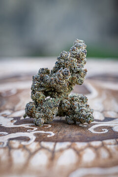 Flor, marihuana, mota, canabis, ca&ntilde;amo, cogollo, weed