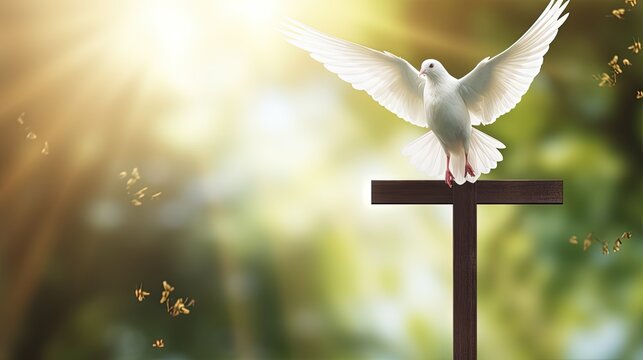 Cross with dove birch branches green background Holy Spirit symbol Trinity Sunday Pentecost Faith Church holiday