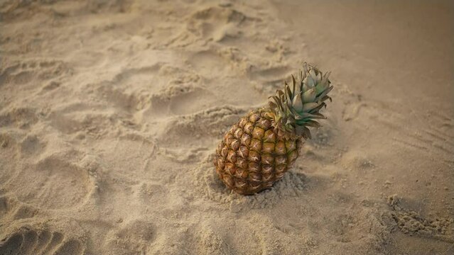 Fresh ripe pineapple on tropical beach in sand with foot traces. Healthy eating, vegetarian food, juicy fruits