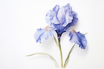 A solitary blue iris flower with a watercolor effect stands out against a white backdrop. Generative AI