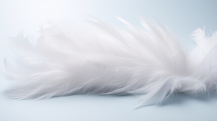 Pristine White Background with Soft Feather Details on the Surface.