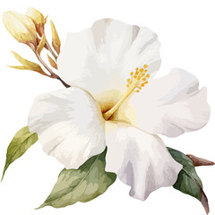 Flower Watercolor element on white background