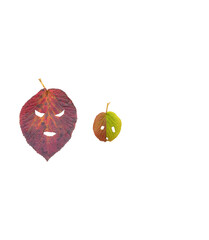 autumn leaves - muzzles. autumn colorful dry leaves with holes. Isolate. PNG available.