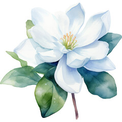 Flower Watercolor element on white background