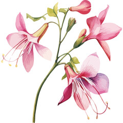 Flower Watercolor element on white background