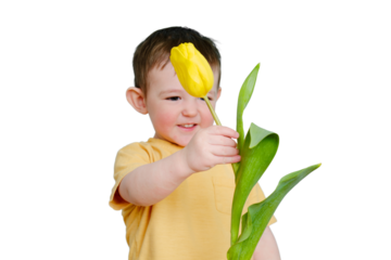Happy toddler baby with tulip flower on studio, isolated on white background. Smiling child boy with yellow tulip, isolated on white background. Kid age one year eight months
