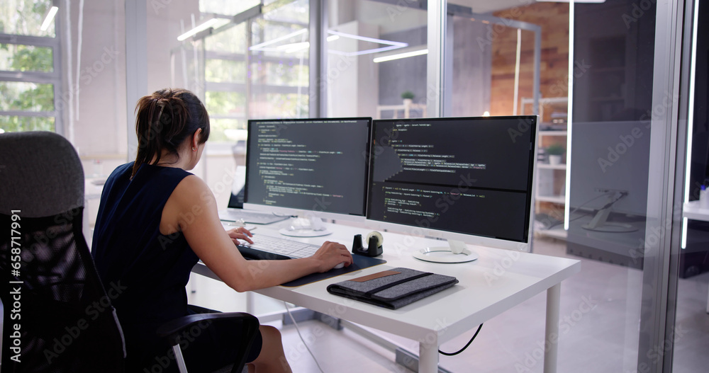 Poster Software Programmer Or Coder Woman