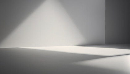 Light Gray Background with Play of Light