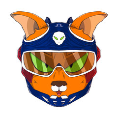 cat with futuristic helmet