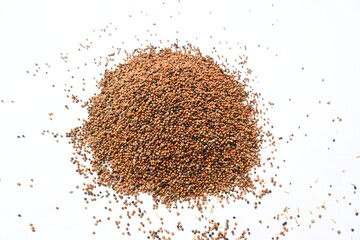 Eleusine coracana or finger millet. It is called Ragi and madua in India and Kodo in Nepal. It  is...