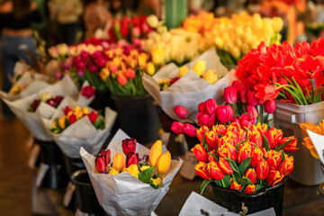 Buckets and bouquets of colorful bright spring tulips from local growers for sale at the famous...
