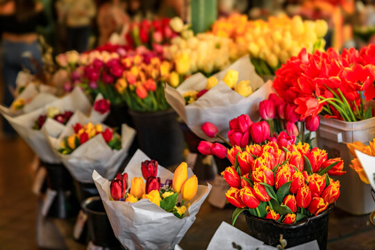 Buckets and bouquets of colorful bright spring tulips from local growers for sale at the famous farmer's market in Seattle, Washington, USA