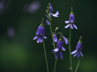 purple iris flower  in the garden generative ai