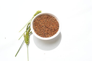 Eleusine coracana or finger millet. It is called Ragi and madua in India and Kodo in Nepal. It  is an annual herbaceous plant. Its widely grown as a cereal crop in the in Africa and Asia.