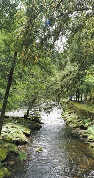 Wundersch&ouml;ne Schwarzwaldlandschaft. Durch den Kurpark Bad Wildbad im Tal der Enz. Vielzahl alter und seltener B&auml;ume, Lauschige Pl&auml;tze, Ecken und Felspartien 
