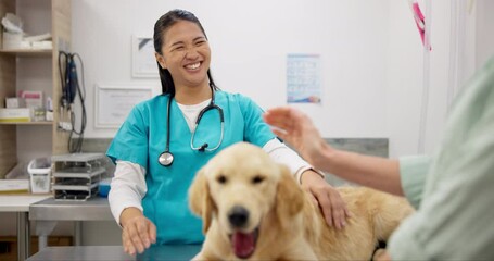 Dog, happy woman and vet shaking hands at consultation, medical advice and pet care service. Person with female veterinarian, sick Labrador puppy and professional help with thank you at animal clinic