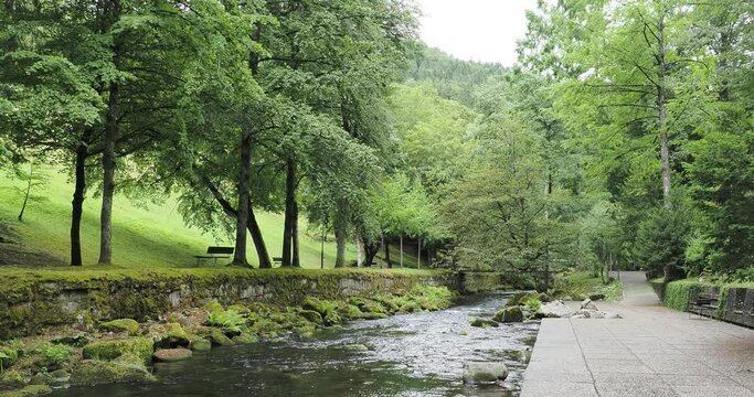Natur-Kurpark Bad Wildbad im Nordschwarzwald mit herrlichen schattigen Spazierwegen und Radweg entlang der Fluss Enz angelegt ges&auml;umt von einer Vielzahl alter und seltener B&auml;ume
