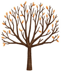 Autumn tree.Cute childish and fairytale picture book style. Hand drawn illustration isolated on white background. Watercolor, pastel, crayons, oil pastel and chalk painting.