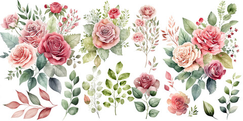 Set of peonies watercolor collection of hand drawn, peonies soft pink and red color, peonies elegant watercolor illustration , peonies isolated transparent background, PNG