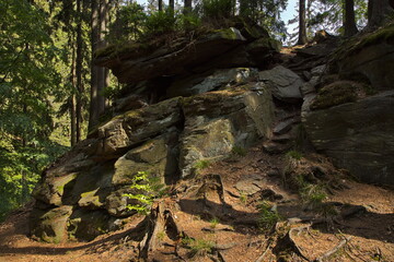 Fototapeta na wymiar Rock formation at the hiking track at Zemska brana,Pardubice Region,Czech Republic,Europe 