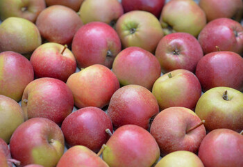Nahaufnahme von leckeren reifen Äpfeln unterschiedlicher Größe, selektiver Fokus, sehr viel Copyspace 