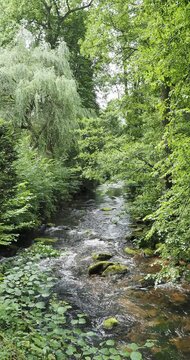 Natur-Kurpark Wildbad im Nordschwarzwald. Am Ufer der schnell flie&szlig;enden Enz, Nebenfluss des Neckars umgeben von Spazierwegen und hohen gr&uuml;nen B&auml;umen
