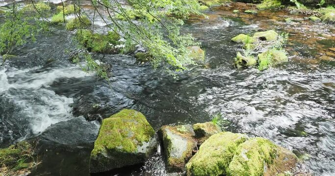 Natur-Kurpark Wildbad im Nordschwarzwald. Am Ufer der schnell flie&szlig;enden Enz, Nebenfluss des Neckars umgeben von Spazierwegen und hohen gr&uuml;nen B&auml;umen
