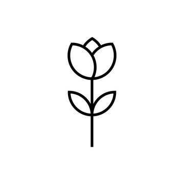 Line sketch flower icon vector