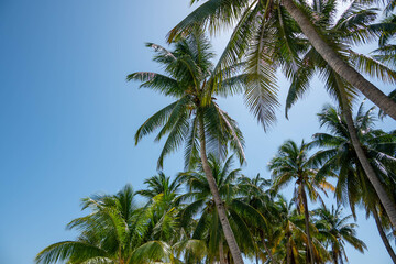 Paradise beach with white sand, beach bars and a great view on Cancun on isla mujeres, quintana roo, mexico