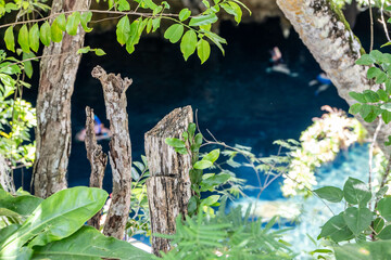 paradise cenotes in the middle of the mexican jungle