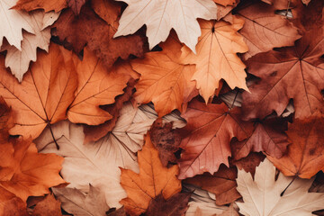 Naklejka na ściany i meble Background of autumn orange leaves.