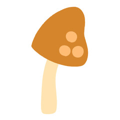 Mushrooms Autumn Season 