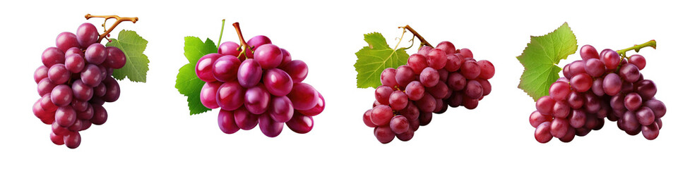 Fototapeta premium Red Grapes clipart collection, vector, icons isolated on transparent background