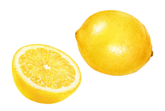 Close-up view watercolor illustration of a lemon, isolated on white background.