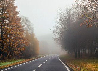 country road in the fog, autumn
