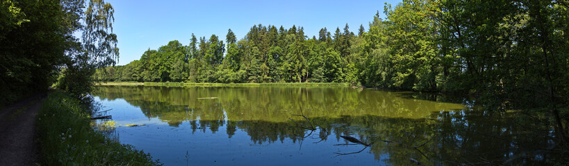 Pond "Plockuv rybnik" at Lanskroun, Ustí nad Orlicí District, Pardubice Region, Czech Republic, Europe
