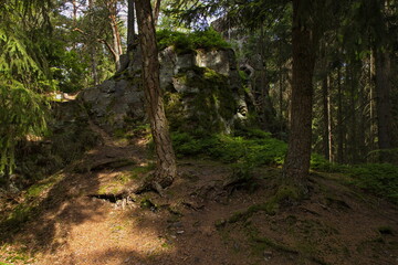 Obraz premium Rock formation at the hiking trail from Jablonne nad Orlici to Orlicky, Usti nad Orlici District, Pardubice Region, Czech Republic, Europe 