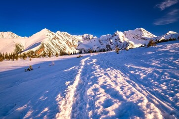 Winter mountain path - 658740168