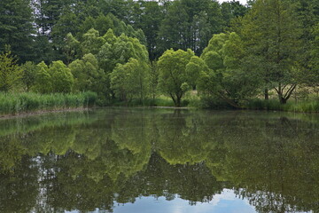 Landscape at Jinosovske rybniky at Vlasim ,Czech Republic, Europe
