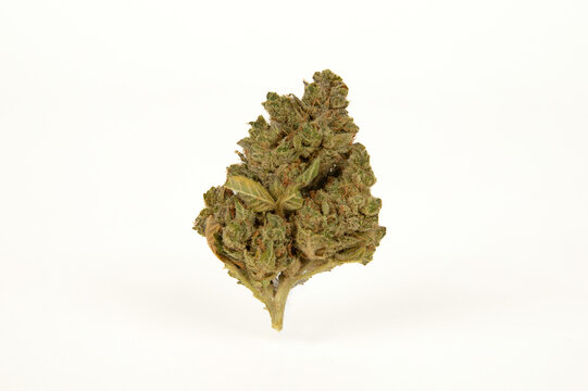 medical marijuana flower, cannabis