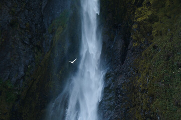 Fototapeta na wymiar Huge blue waterfall flowing down the mountain
