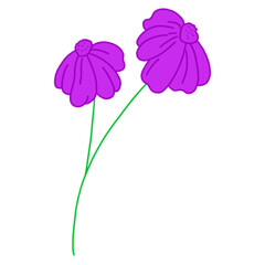 Bouquet of bright purple flowers on transparent background