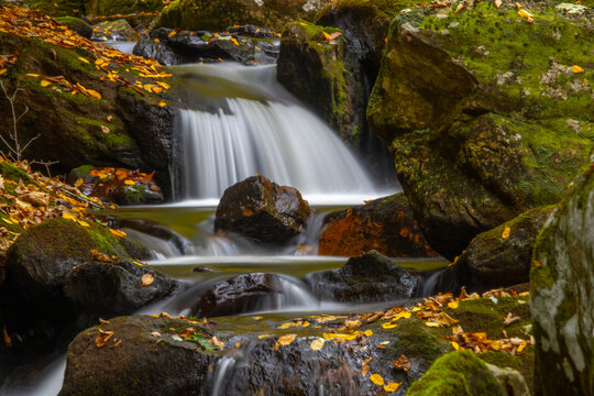 Autumn along the mountain creek © Timothy