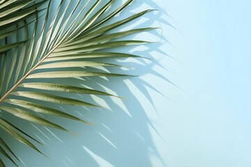 Blurred shadow from palm leaves on the light blue wall