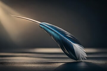 feather on black background